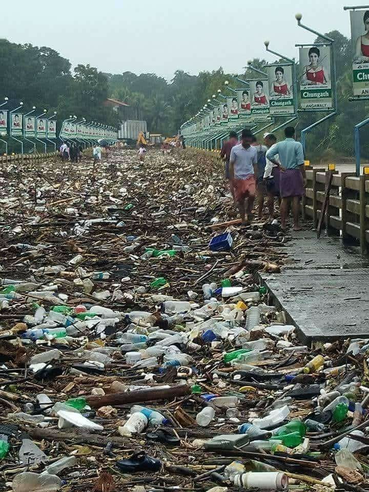 ನಾವೆಲ್ಲರೂ ಸ್ವಲ್ಪ ಪ್ಲಾಸ್ಟಿಕ್ ಆಗಿದ್ದೇವಾ?