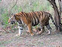 ನಮ್ಮ ಹೆಮ್ಮೆಯ ಭಾರತ (ಭಾಗ 28) 