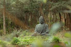 ಬದುಕಿನ ಒಳಿತಿಗಾಗಿ ಪರರಿಗೆ ಸಹಾಯ ಮಾಡಿ